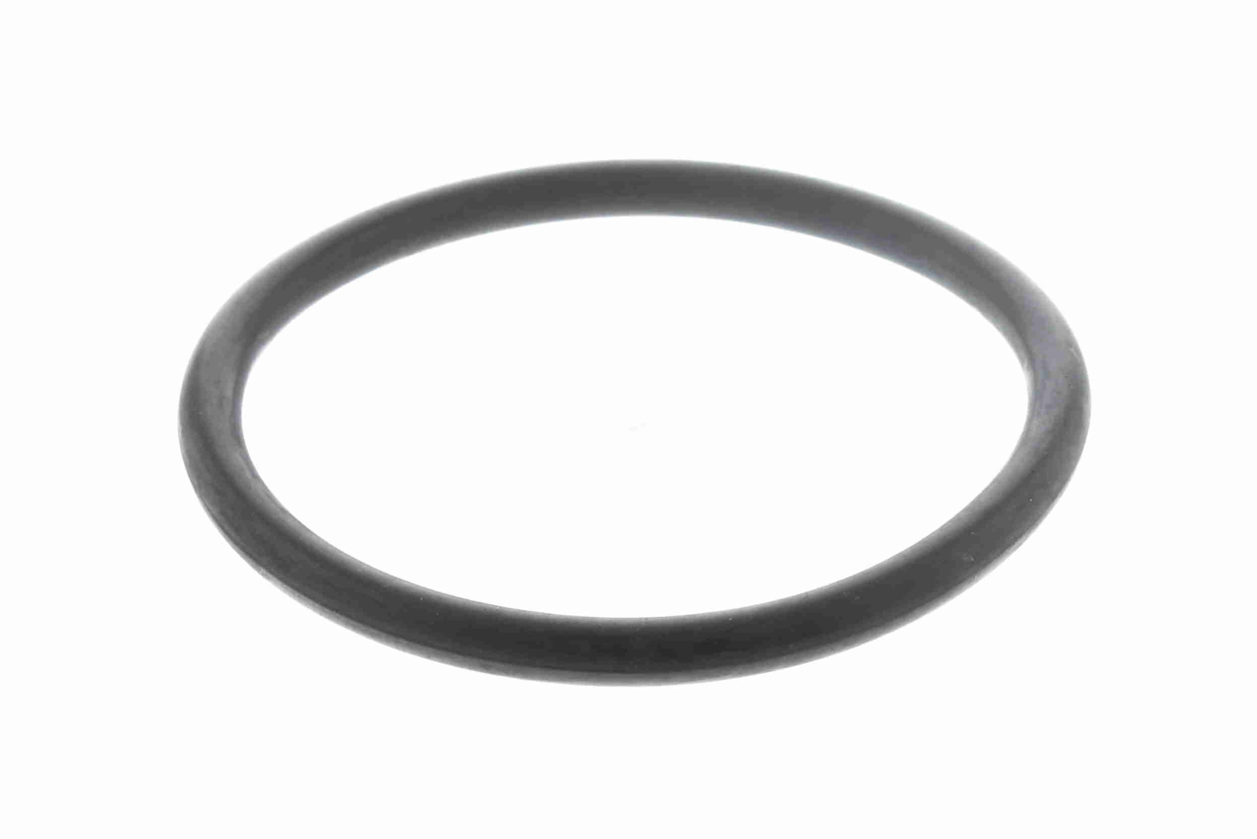 Dichtung, Thermostat