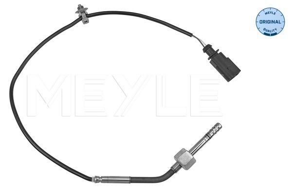 Sensor, Abgastemperatur