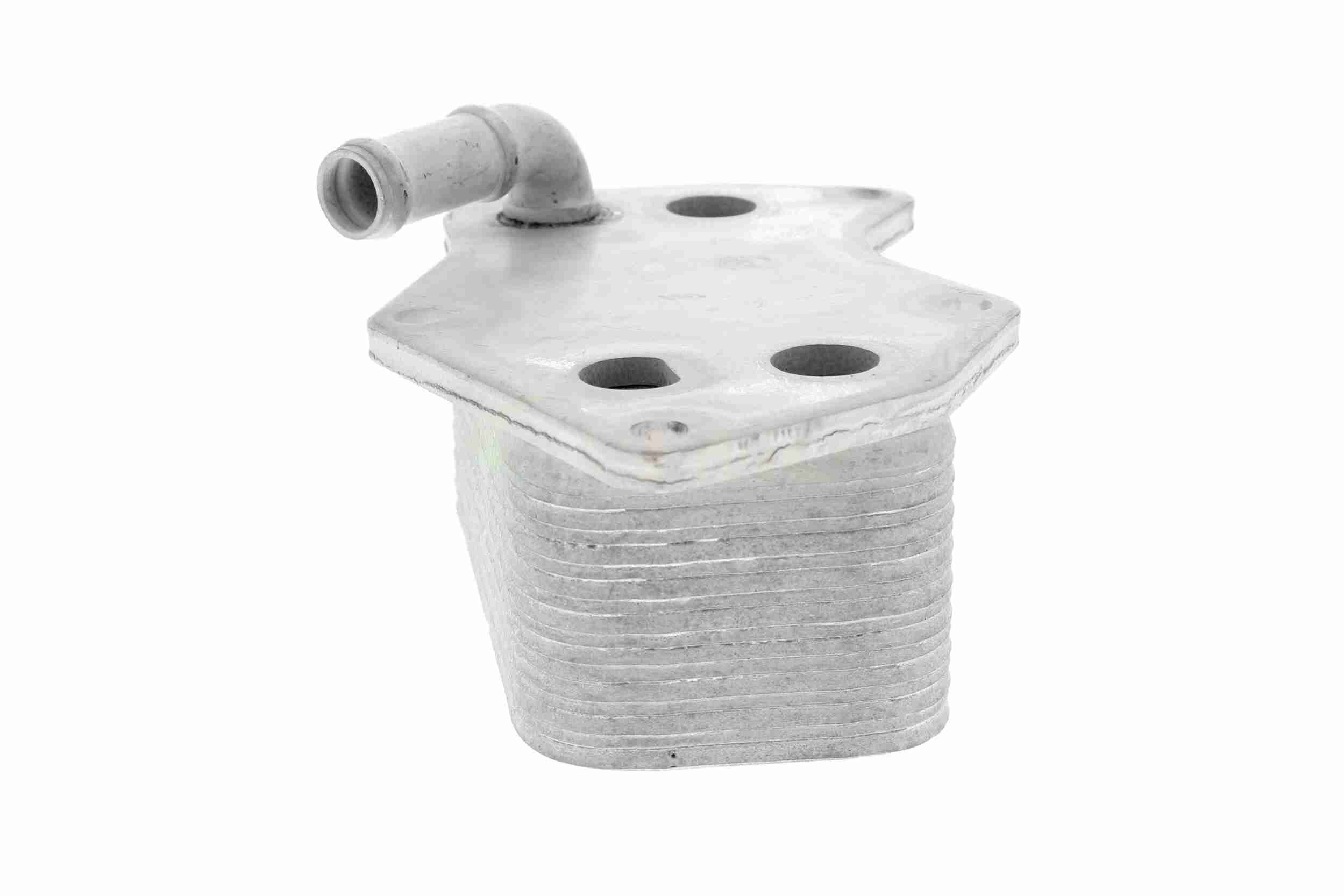 &Ouml;lk&uuml;hler, Motor&ouml;l