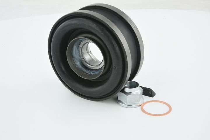 guolis, kardaninio veleno centrinis guolis