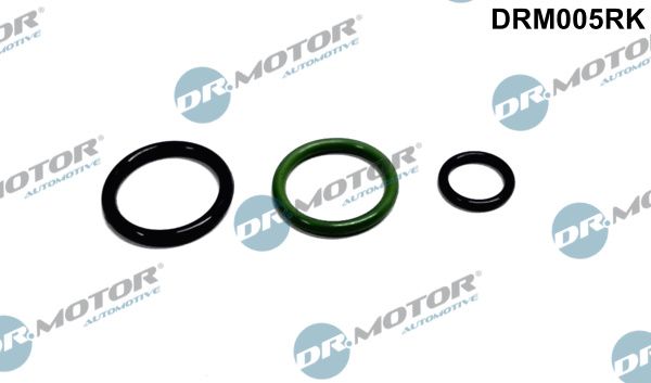 Dr.Motor Automotive DRM005RK Repair Kit, unit injector