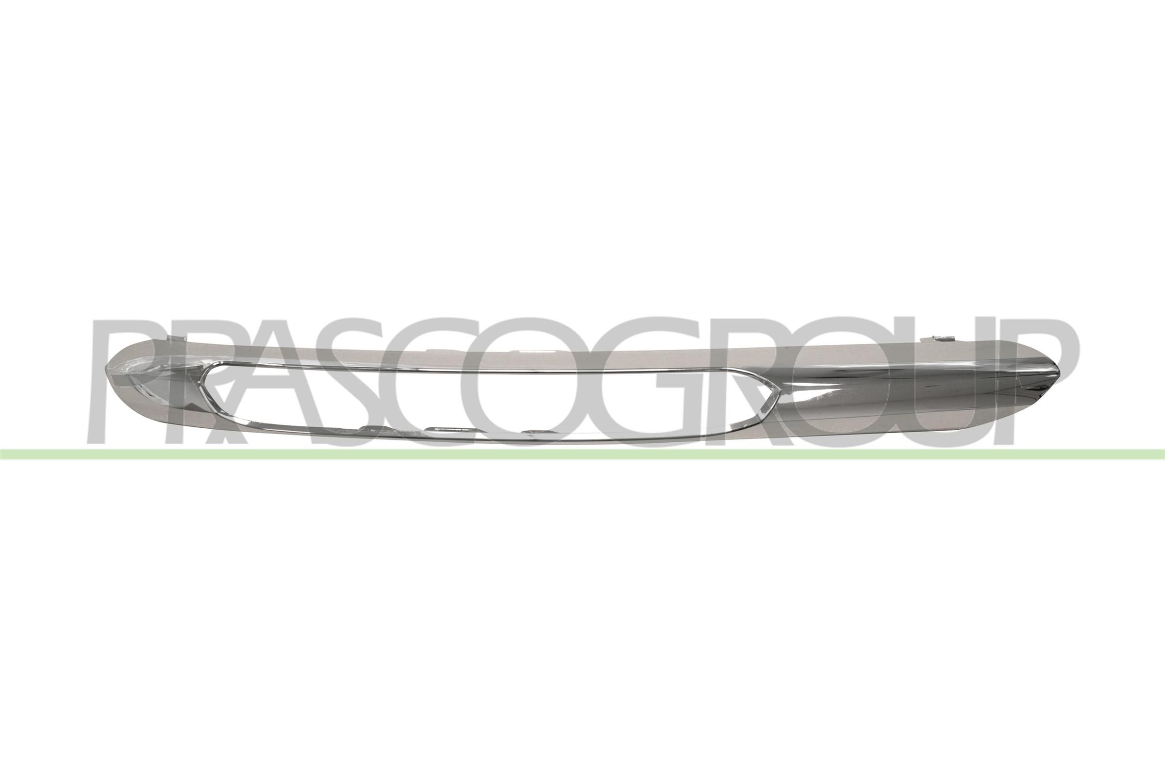 Zier-/Schutzleiste, Sto&szlig;f&auml;nger