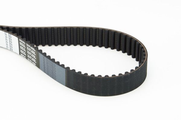BELTPIC_CT974.JPG