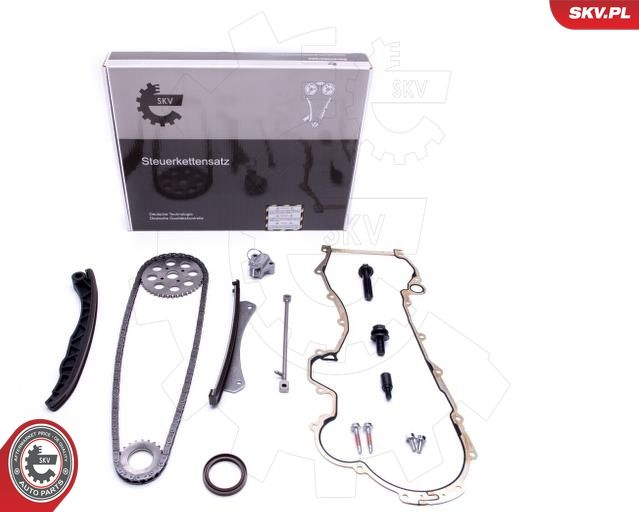 Timing Chain Kit 21SKV216