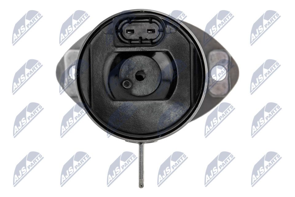 Stellelement, Exzenterwelle (variabler Ventilhub)