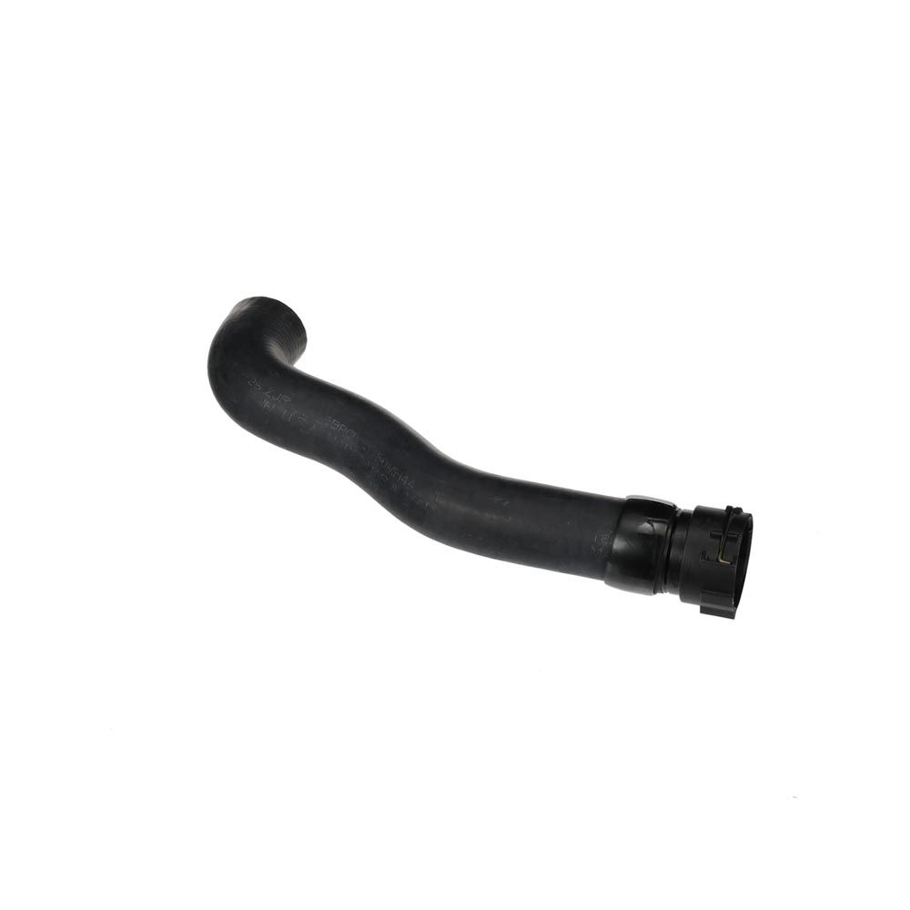 radiatoriaus žarna