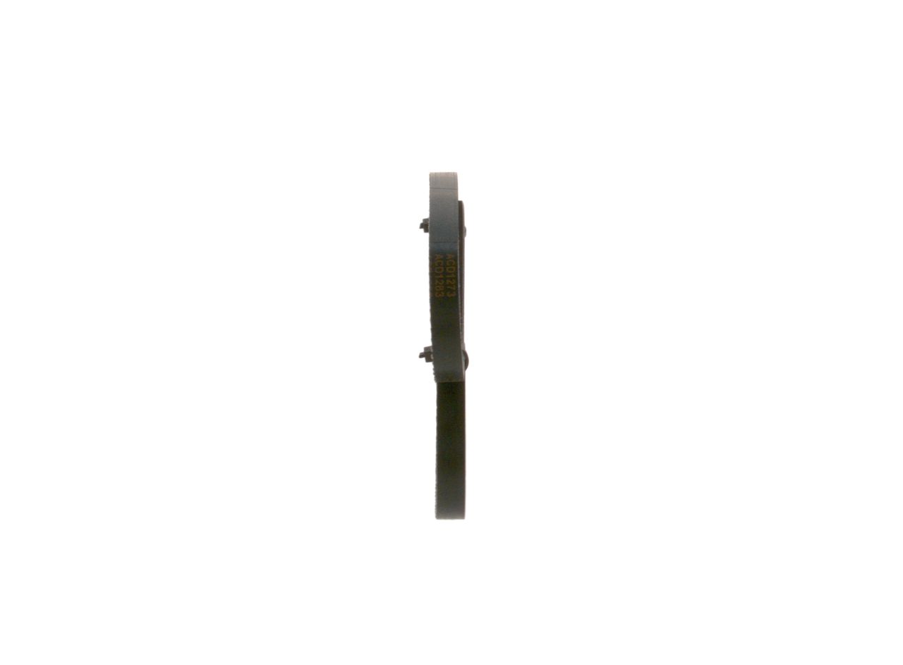 1987947880PH07WHCO0000.JPG