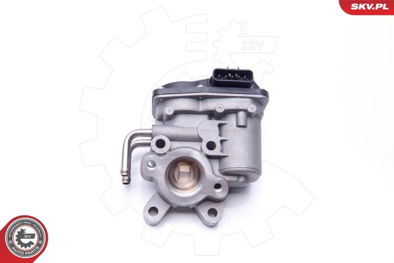 14SKV102 ESEN SKV AGR-szelep