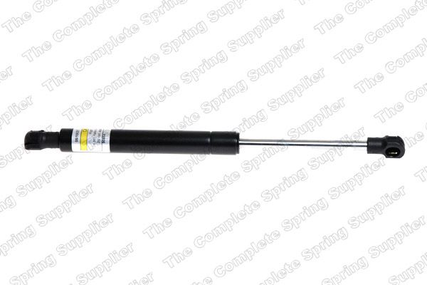 Gasfeder, Koffer-/Laderaum