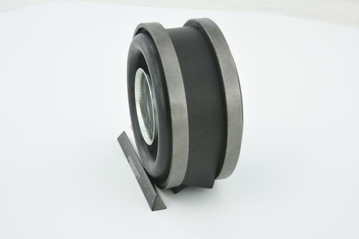 guolis, kardaninio veleno centrinis guolis