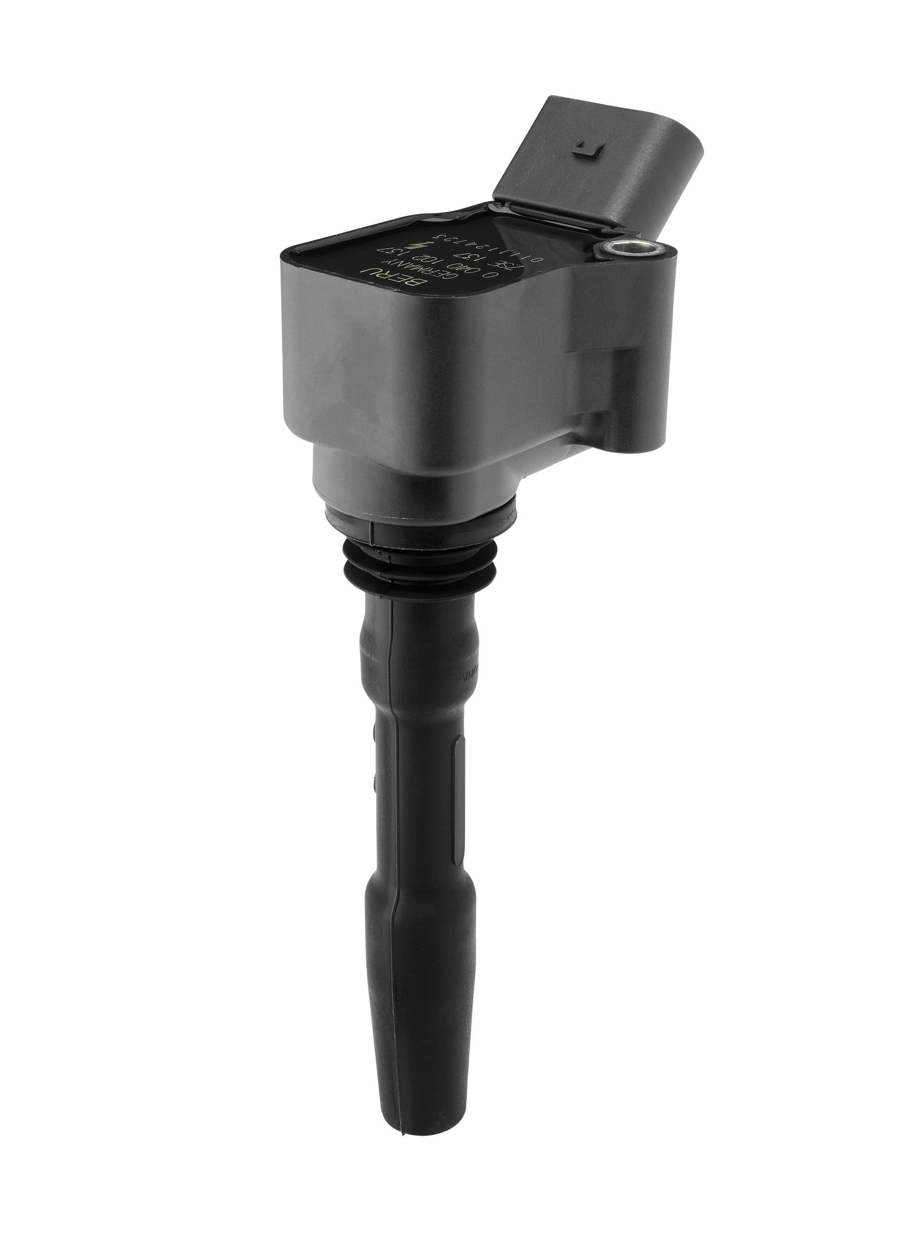 ZSE_137_02.JPG