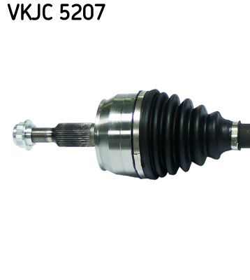 VKJC 5207_2.JPG