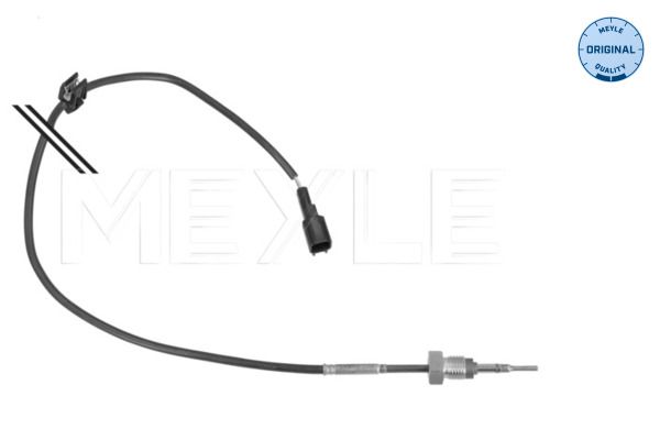 Sensor, Abgastemperatur Sensor, Abgastemperatur