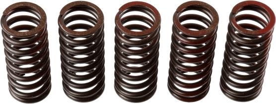 TRW MEF304-5 Clutch Spring Set