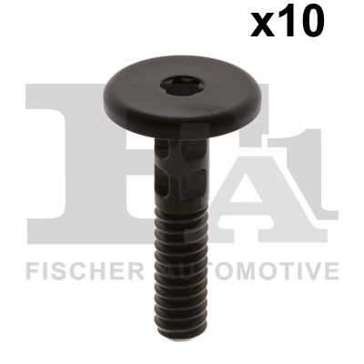 Clip, Zier-/Schutzleiste