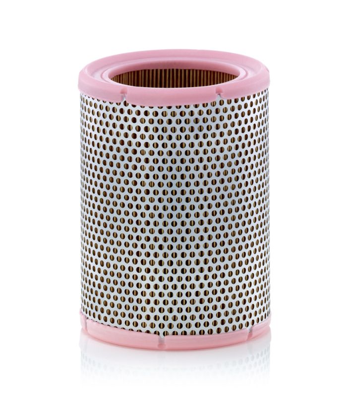 Air Filter C 1362