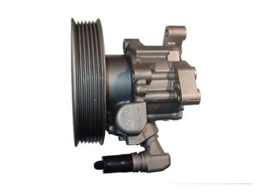 Hydraulikpumpe, Lenkung