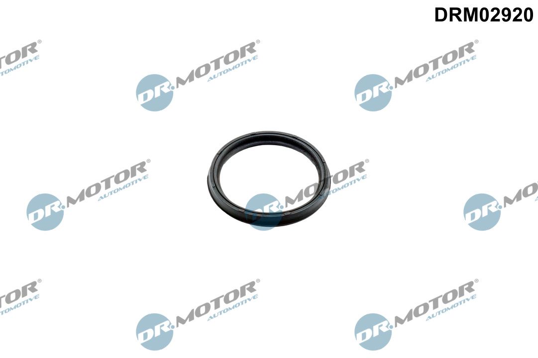 Dr.Motor Automotive DRM02920 Seal Ring, charge air hose
