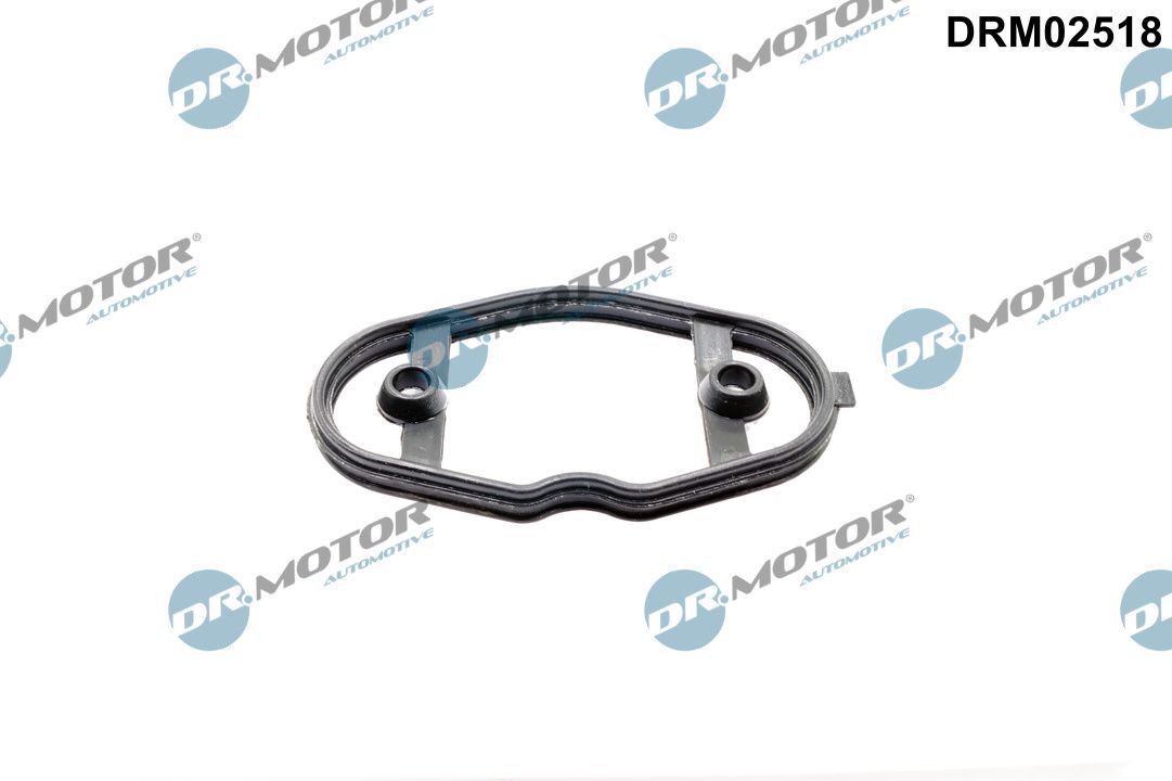 Dr.Motor Automotive DRM02518 Gasket, fuel pump