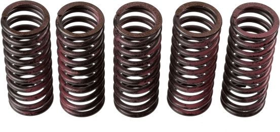 TRW MEF312-5 Clutch Spring Set