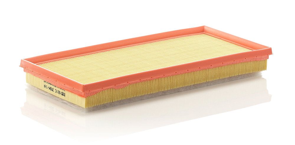 MANN-FILTER C 3594/1 - Luftfilter