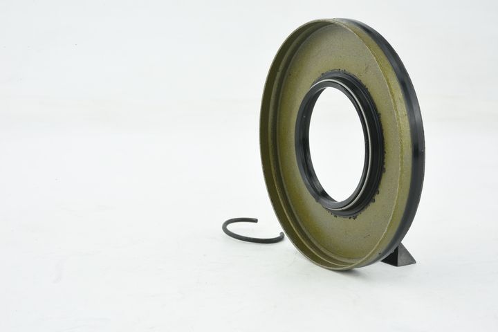 sandariklis, kardaninis velenas