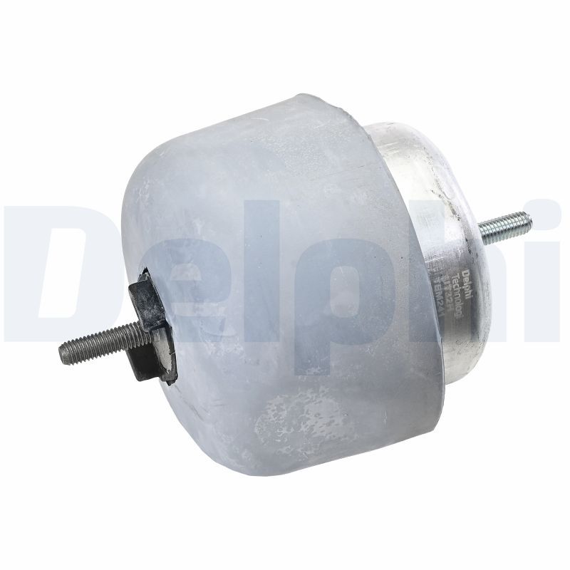DELPHI TEM241 - Lagerung, Motor