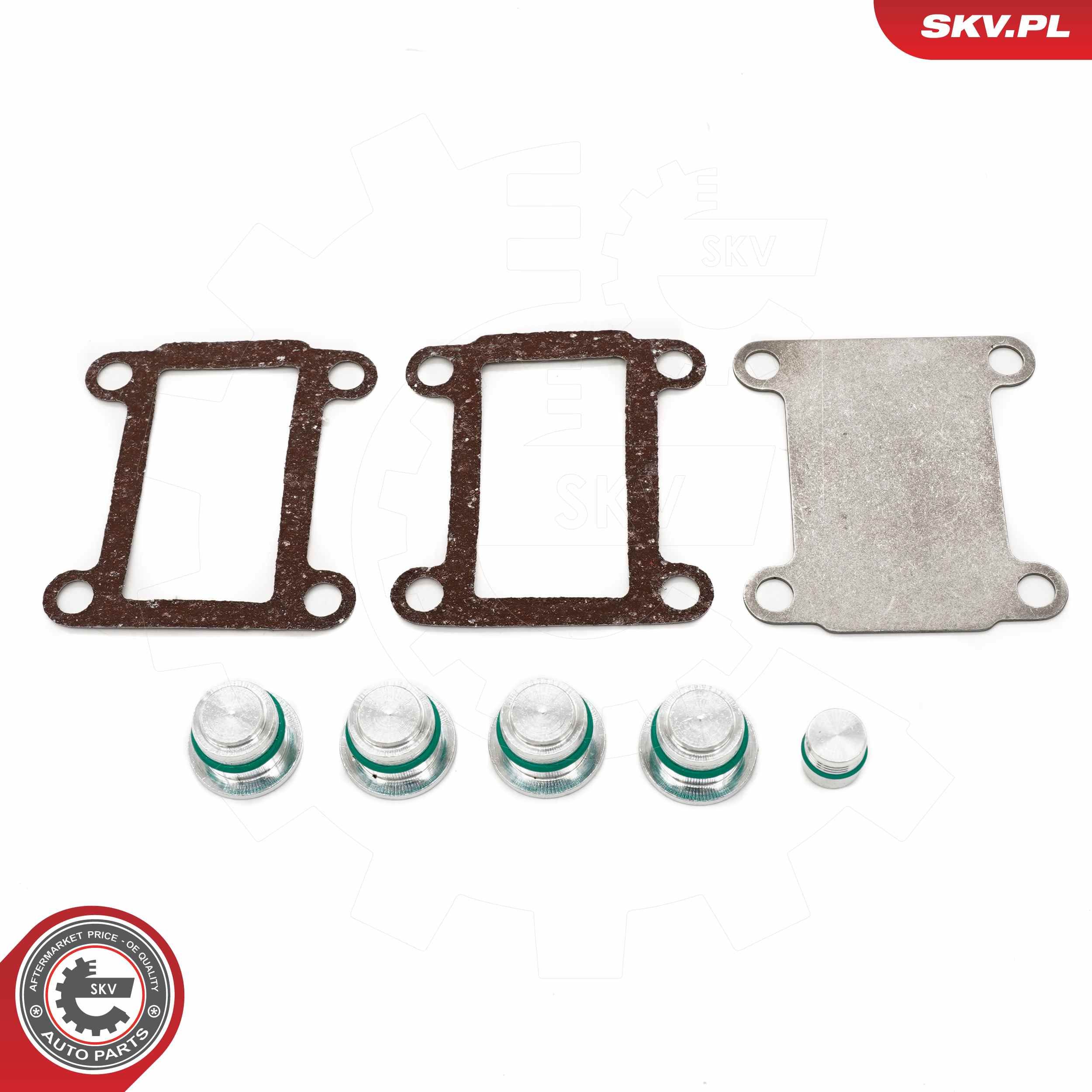 ESEN SKV 49SKV525 - Reparatursatz, Saugrohrmodul