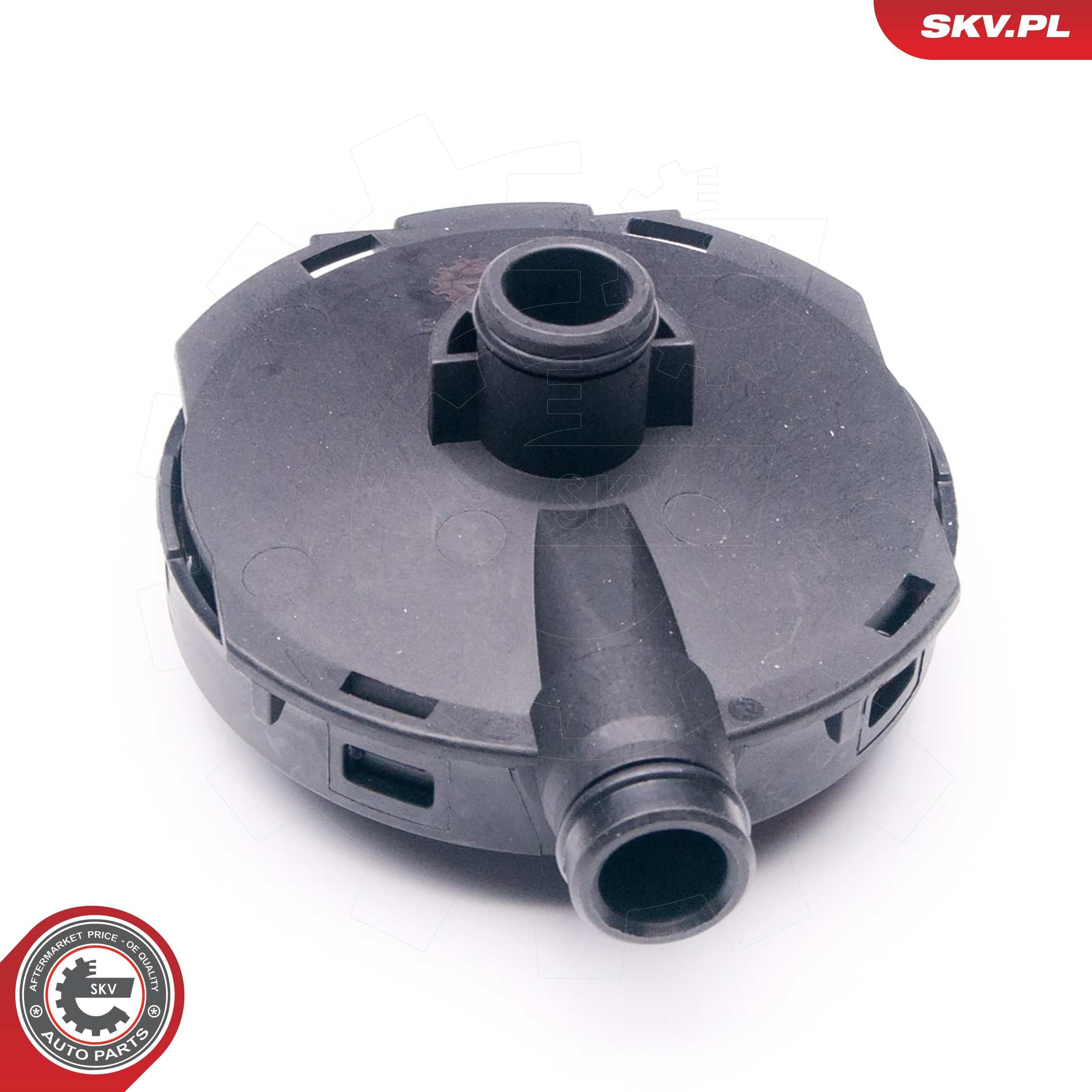 ESEN SKV 31SKV021 - Ventil, Kurbelgeh&auml;useentl&uuml;ftung