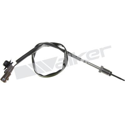 Sensor, de temperatura de gas de escape