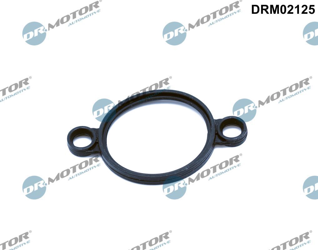 Dr.Motor Automotive DRM02125 Seal, adjusting element (eccentric shaft)
