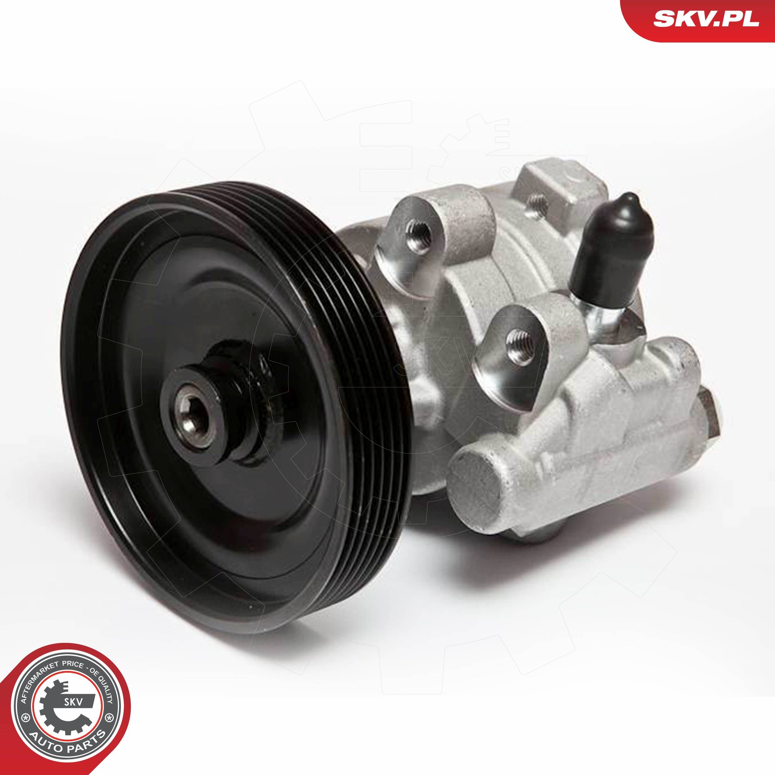 ESEN SKV 10SKV068 - Hydraulikpumpe, Lenkung