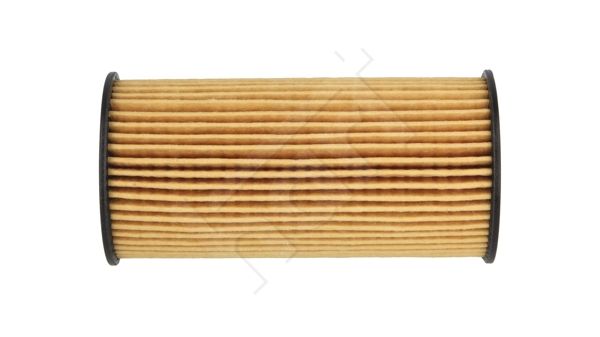 alyvos filtras