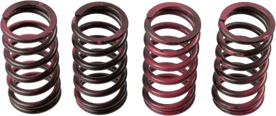 TRW MEF311-4 Clutch Spring Set