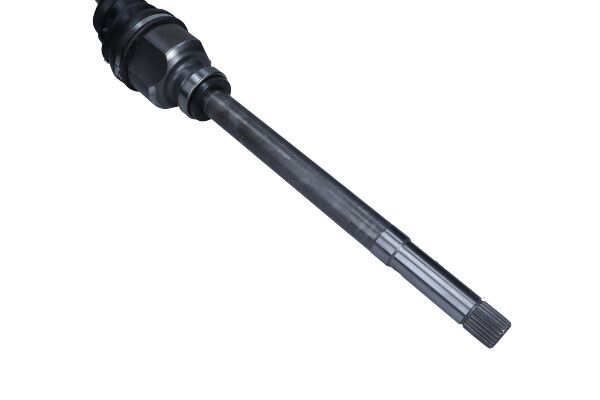 27-1134MG_2_LARGE.JPG