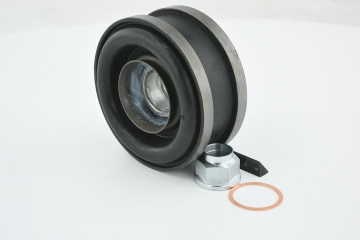 guolis, kardaninio veleno centrinis guolis