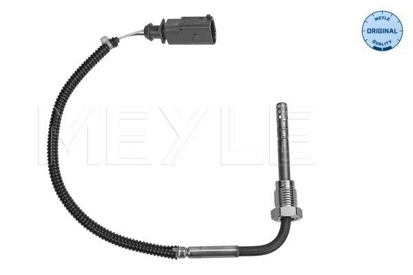 Sensor, Abgastemperatur