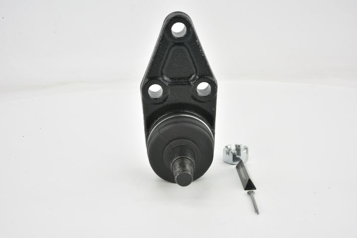 Šarnyras / girgždukas