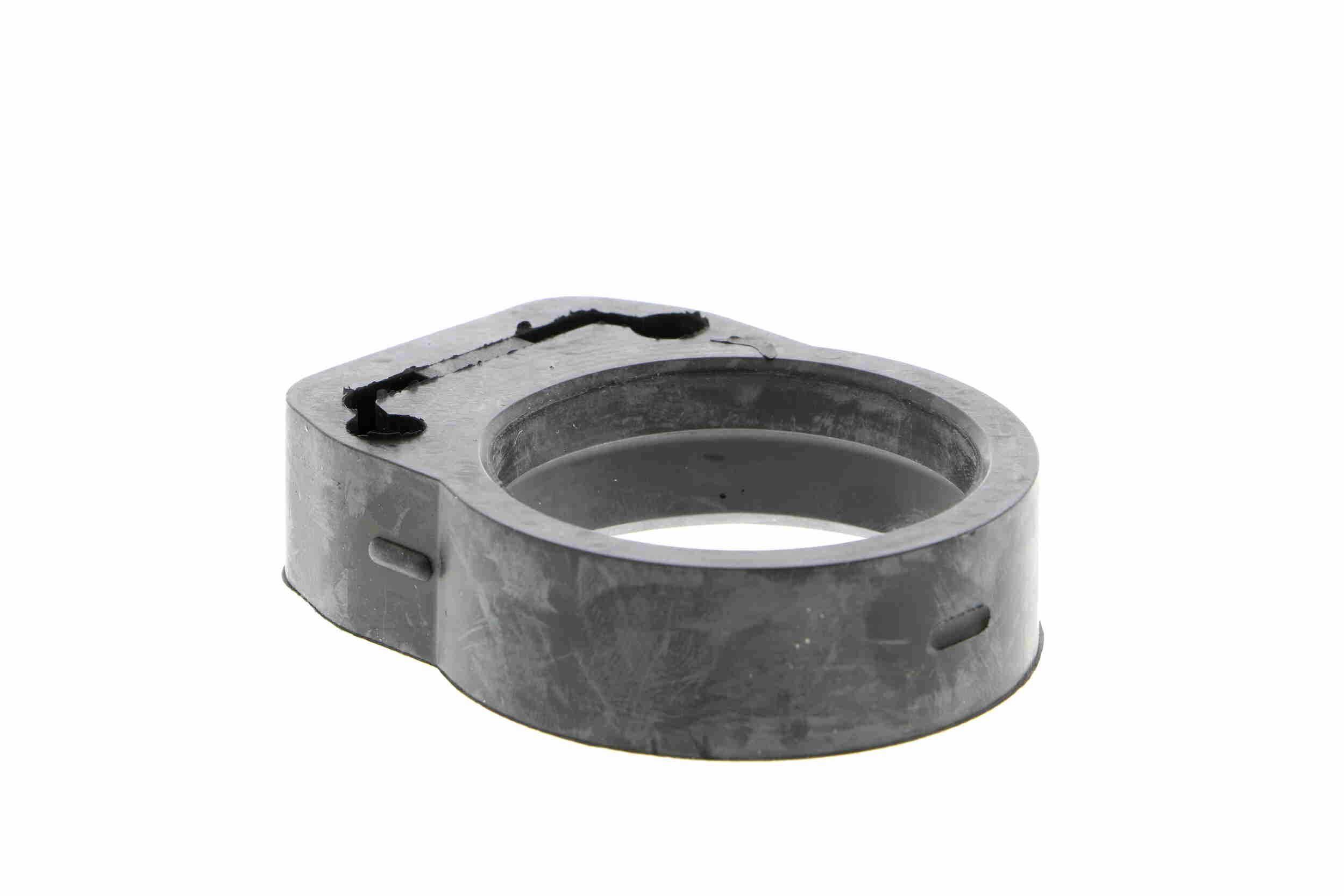 Wasserumwälzpumpe, Standheizung