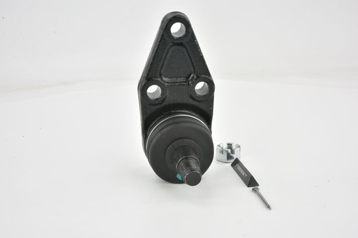 Šarnyras / girgždukas