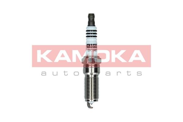 Spark Plug 7090036