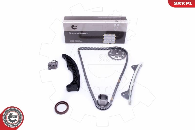 Timing Chain Kit 21SKV228