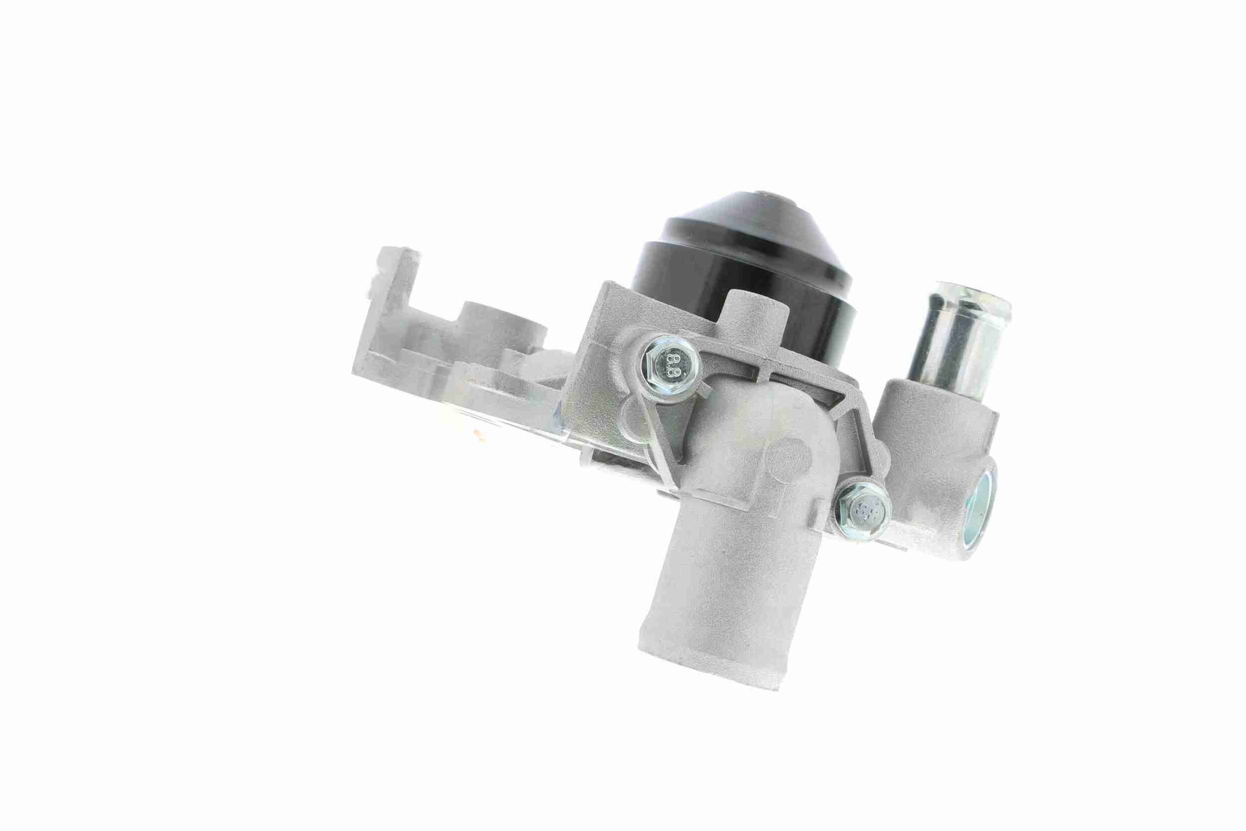 Wasserpumpe, Motorkühlung Wasserpumpe, Motorkühlung
