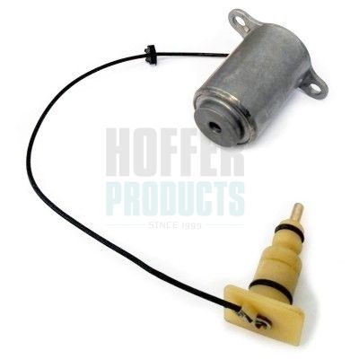 7532219 HOFFER motorolajszint