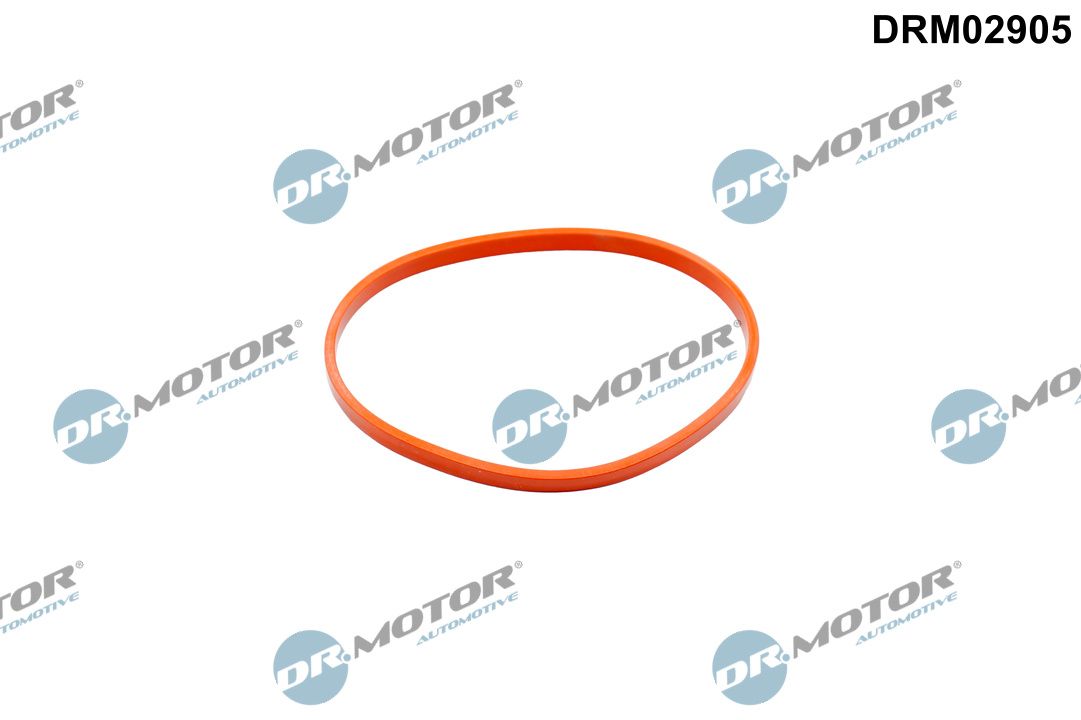 Dr.Motor Automotive DRM02905 Dichtung, Drosselklappenstutzen