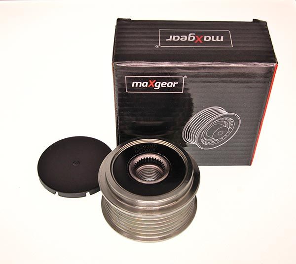 55293MG_3_LARGE.JPG