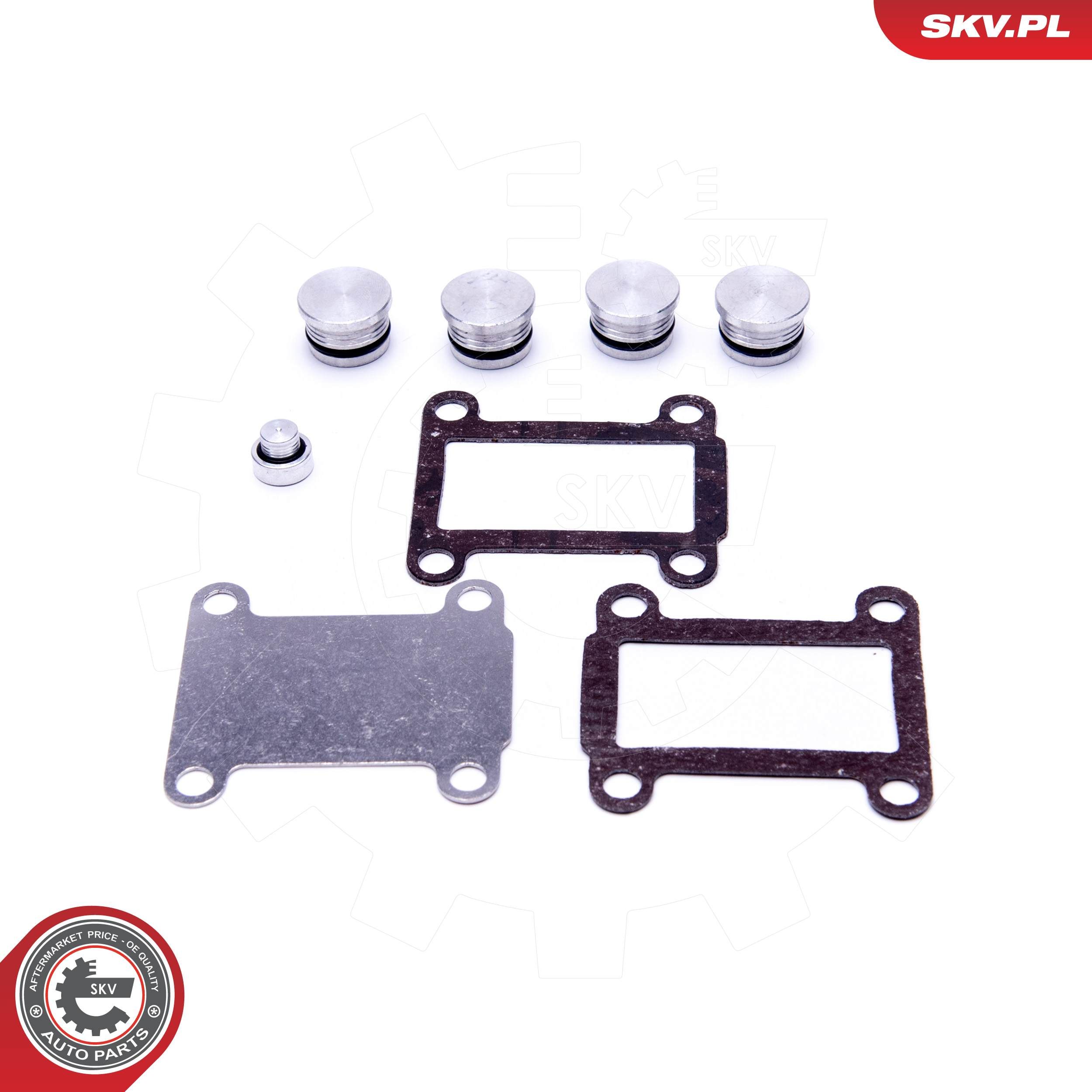 ESEN SKV 49SKV527 - Reparatursatz, Saugrohrmodul