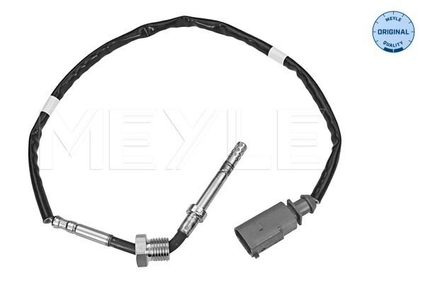 Sensor, Abgastemperatur