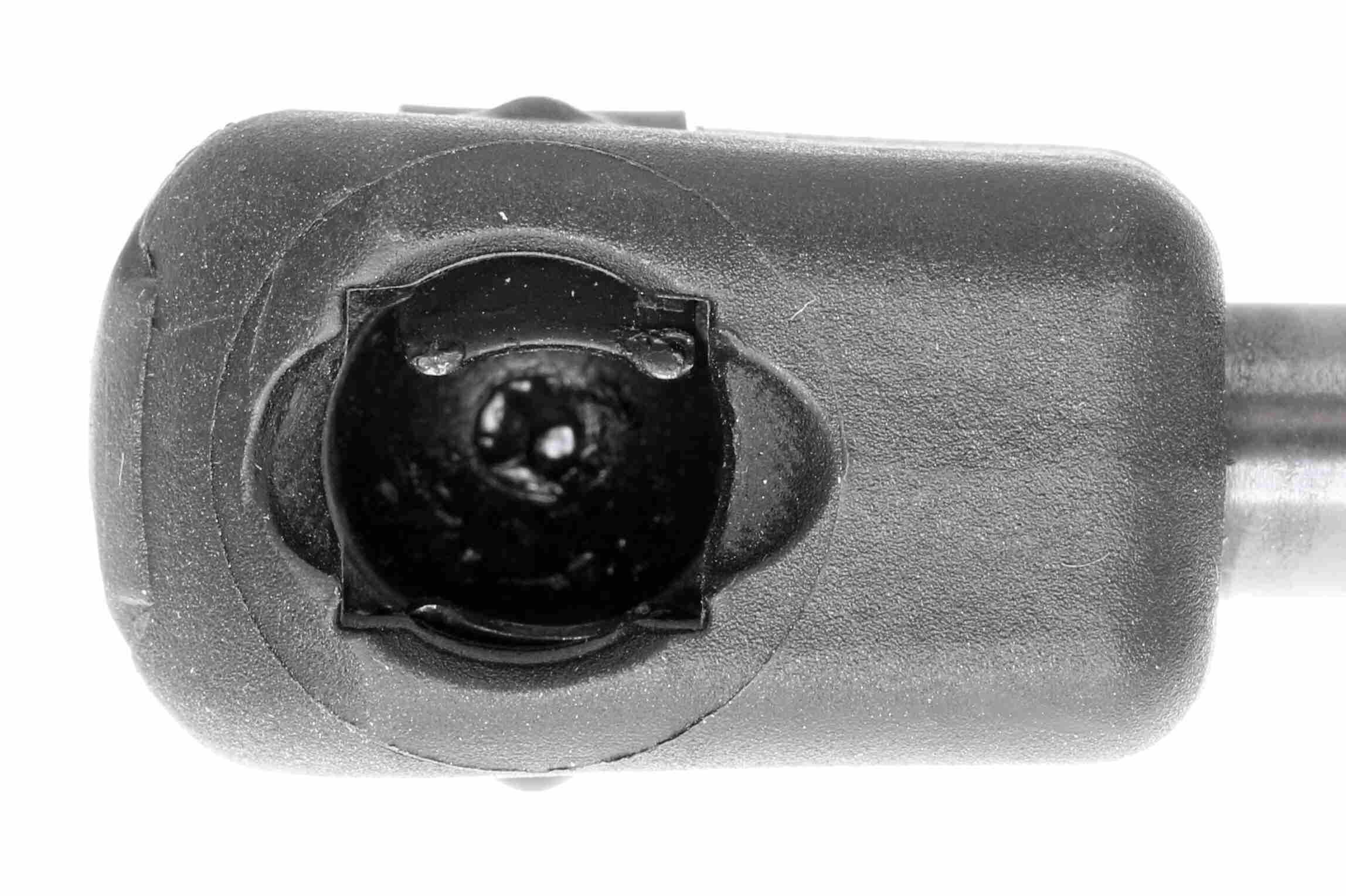 Gasfeder, Koffer-/Laderaum