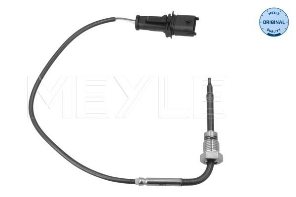 Sensor, Abgastemperatur